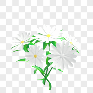 一簇白色花朵高清图片
