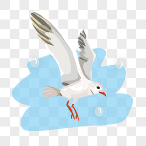 海洋上飞翔的海鸥高清图片