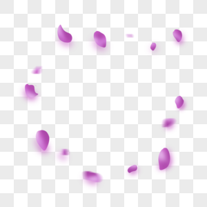 紫色花瓣图片