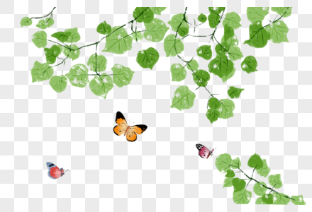 树叶和蝴蝶图片