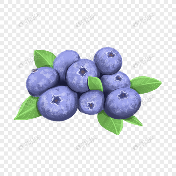 夏季水果蓝莓图片