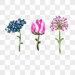 手绘粉色菊花花卉元素图片