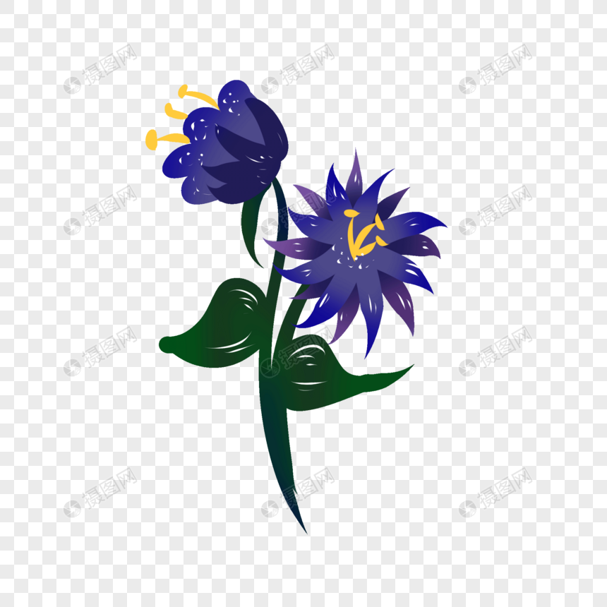 手绘藏红花花卉元素