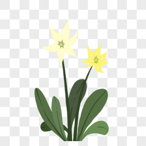 手绘黄色野花花卉元素图片