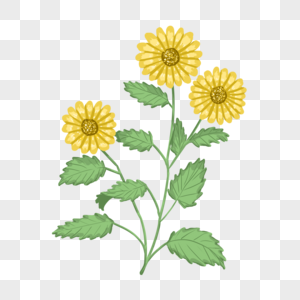 手绘黄色野菊花元素图片
