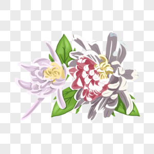 手绘白紫色菊花花卉元素图片