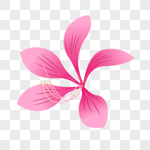 AI矢量紫荆花花朵高清图片素材