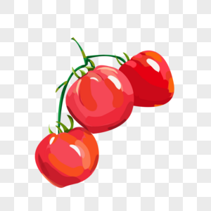 新鲜西红柿插画素材高清图片