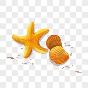 海星贝壳手绘高清图片