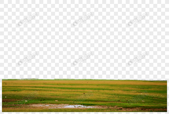 新疆赛里木湖草原羊群图片