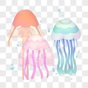 三只水母浮游生物水母高清图片