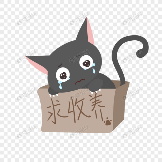 求收养可怜兮兮的流浪黑猫泪眼哭泣流眼泪图片