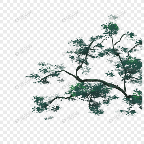 树枝装饰图片