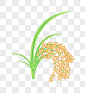 水稻丰收稻子标志高清图片