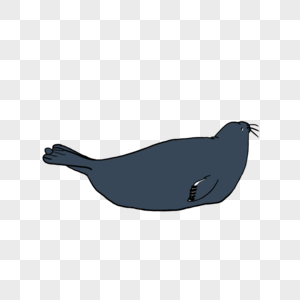 海豹背面元素图片