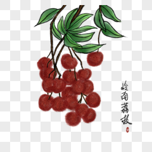 中国风夏季水果荔枝素材高清图片素材