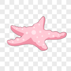 海星粉色海洋生物高清图片