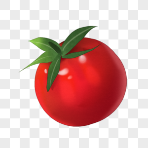 卡通食物西红柿插图图片