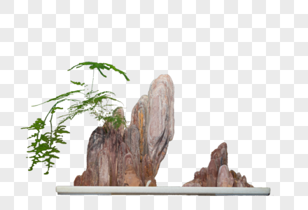 中式审美室内盆景图片