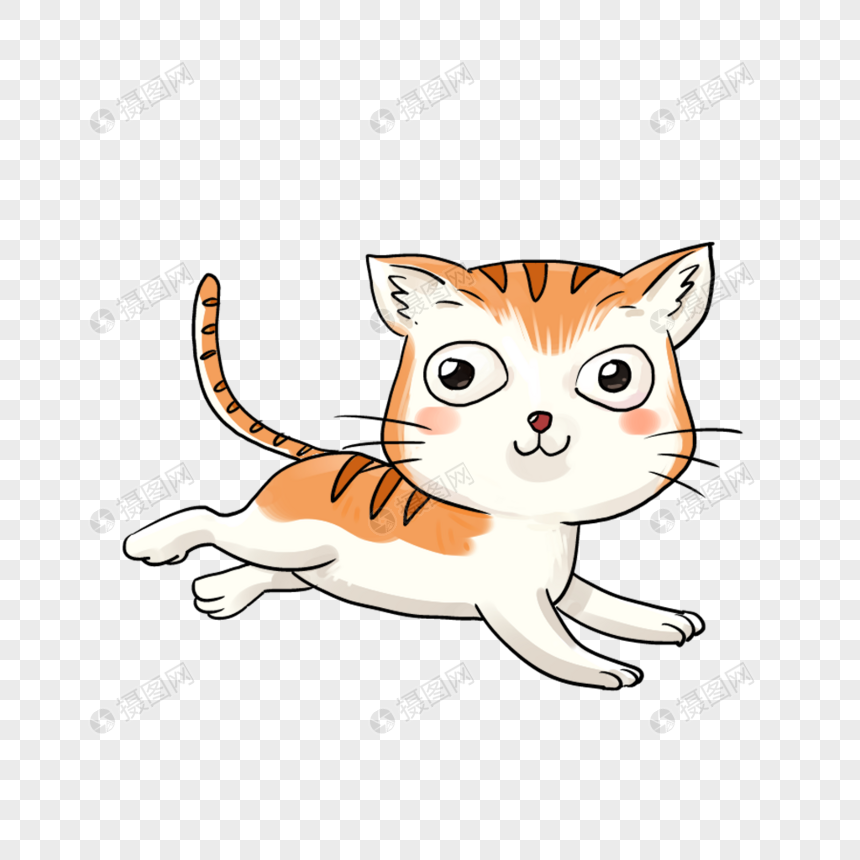 奔跑的猫