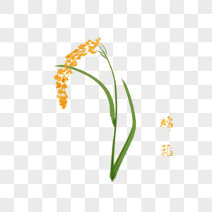卡通植物糯稻插图图片