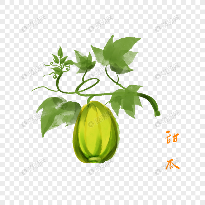 卡通食物甜瓜插图