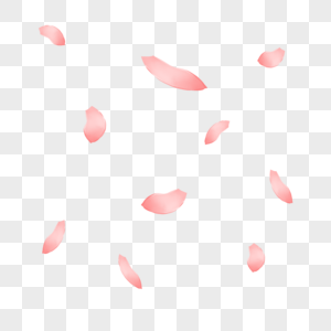 粉色漂浮花瓣图片