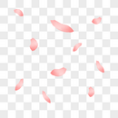 粉色漂浮花瓣图片