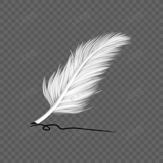 白色书写羽毛图片