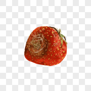 食物变质草莓高清图片