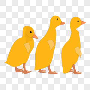 卡通手绘可爱动物黄色鸭子图片