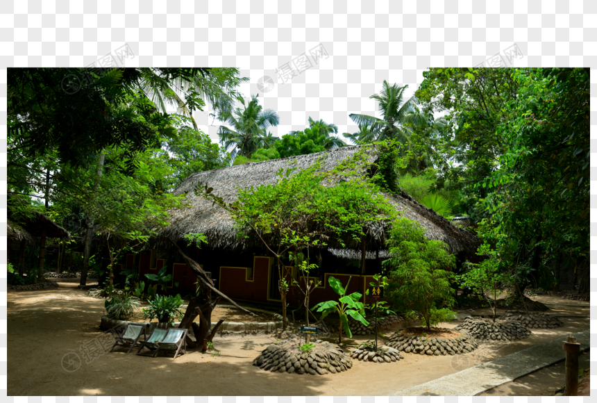 椰林木屋图片