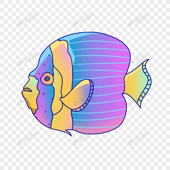 一条彩色的鱼图片