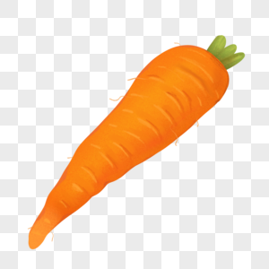 手绘蔬菜胡萝卜图片