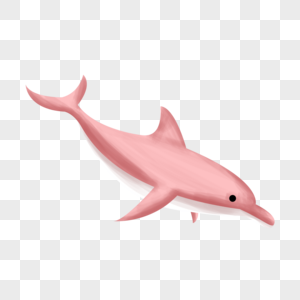 卡通海豚粉色海洋生物高清图片