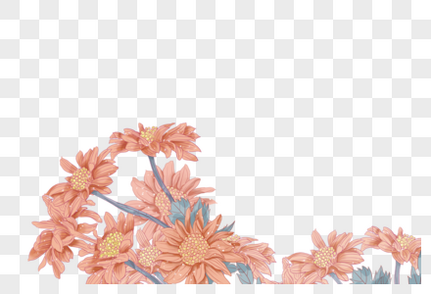 花卉手绘花朵高清图片素材