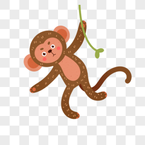 猴子猴子类素材高清图片