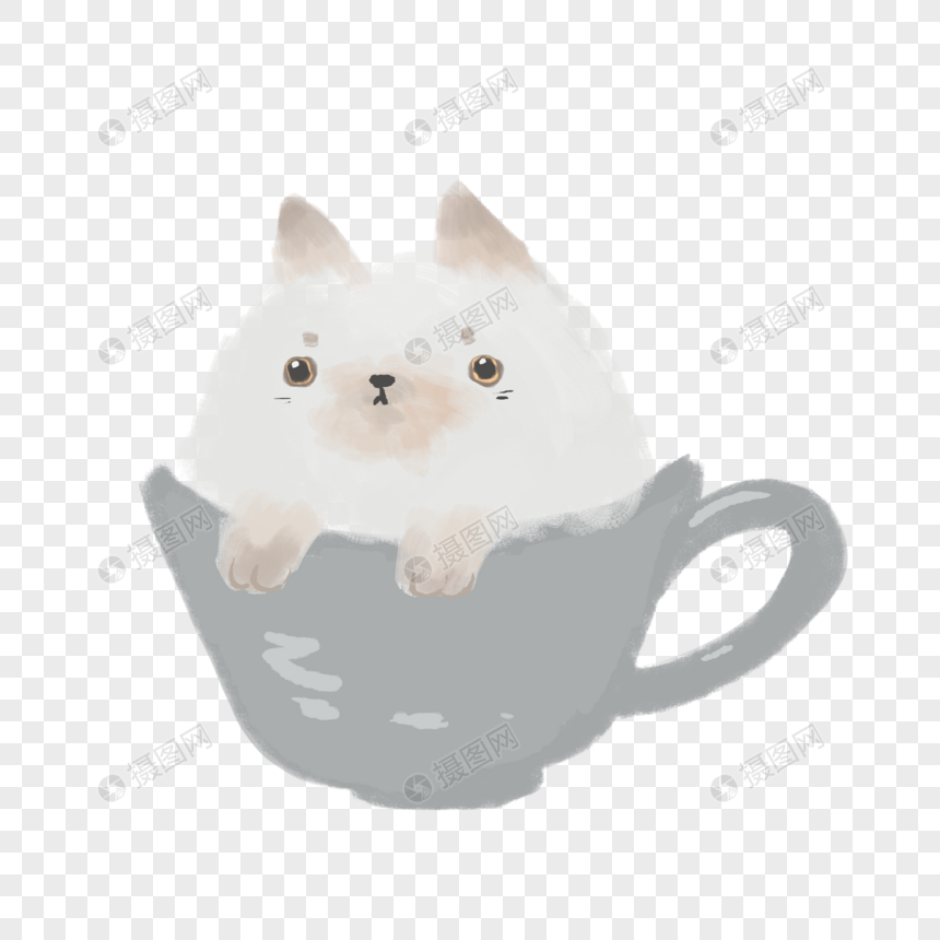 茶杯猫咪图片