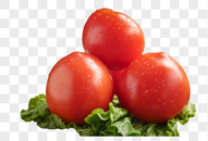 营养的西红柿图片