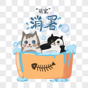 夏日泡澡的猫咪高清图片