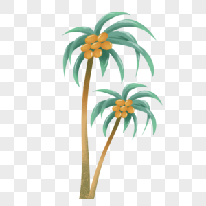 夏季炎热海边椰子树图片