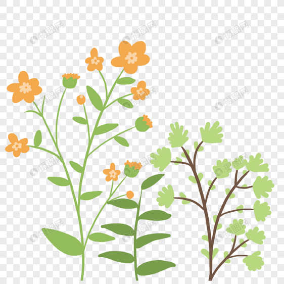手绘植物植被花卉图片
