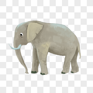 大象灰色动物高清图片