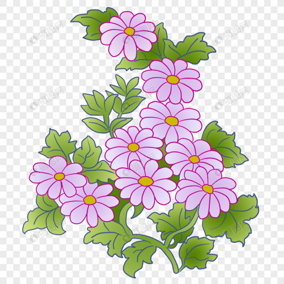 紫色的野菊花图片