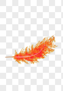 红色火焰状羽毛图片