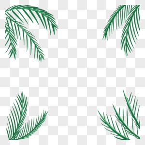 椰子树叶边框高清图片