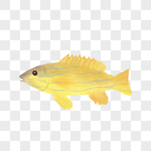 水彩鱼黄色小鱼高清图片