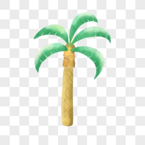 夏天植物椰子树椰树高清图片素材