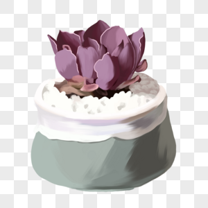 手绘紫色多肉花卉盆栽图片