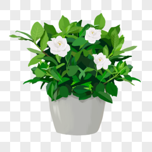 手绘绿色栀子花花卉盆栽元素图片